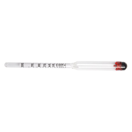 ALCOOLOMETRO TIPO  GAY LUSSAC  cm. 18