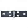 CERNIERA ALI LUNGHE ART.122 mm 23x80