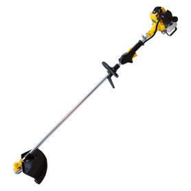 DECESPUGLIATORE  PG260W  Hp 1