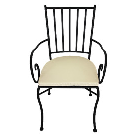 SEDIA CON BRACCIOLI  JASMINE  cm 45 x 42 x h.88