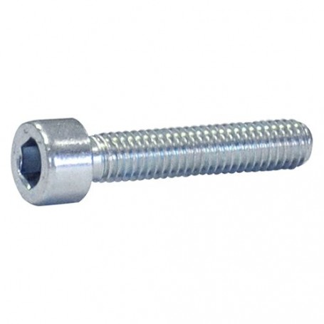 BULLONE TESTA CILINDRICA T.C.E.I. 10 x 40 tutto filettato