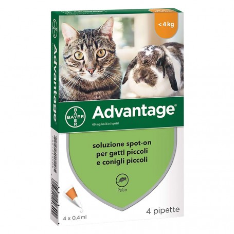 ANTIPARASSITARIO 'ADVANTAGE SPOT-ON'  minore di  4 kg  - 4 pipette ml 0