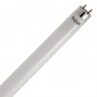 BEGHELLI LED 56235 TUBO T8 W24 CM.150 FREDDA