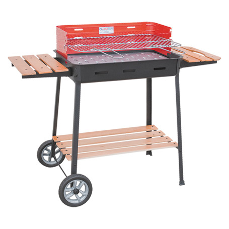 BARBECUE RETTANGOLARE  860 EXCELSIOR  cm 63 x 43 x H 88