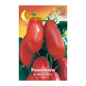 SEMI ORTO POMODORO S. MARZANO