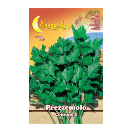 SEMI ORTO PREZZEMOLO COMUNE 2