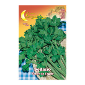 SEMI ORTO SEDANO VERDE DA TAGLIO