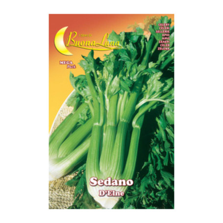 SEMI ORTO SEDANO DELNE