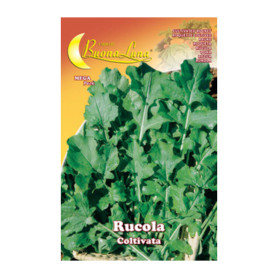 SEMI ORTO RUCOLA COLTIVATA