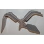 ZZ-CASSAPANCA TERRY BOX 140-(HX2)
