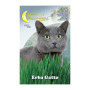 SEMI ORTO ERBA GATTO