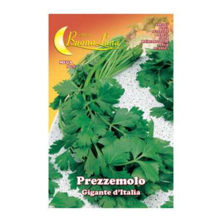 SEMI ORTO PREZZEMOLO GIGANTE