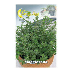 SEMI ORTO MAGGIORANA