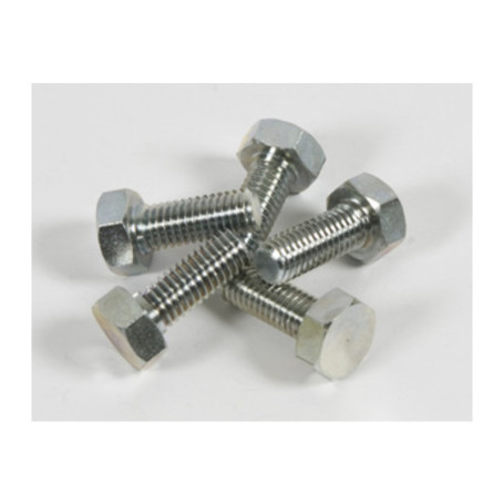 BL VITE FERMADISCO P\DECESPUGLIATORE 10X1