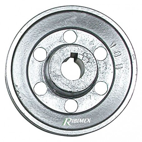 PULEGGIA PER MOTORE 1 gola -  diametro  100 - asse 19 mm
