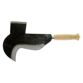 PENNATO  FROSINONE  cm 22