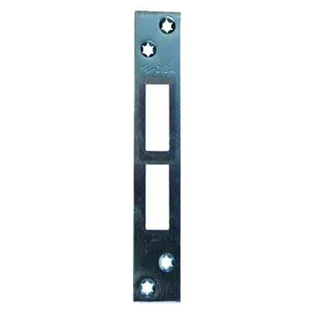 CONTROPIASTRA  06232-01  mm 156 x 25
