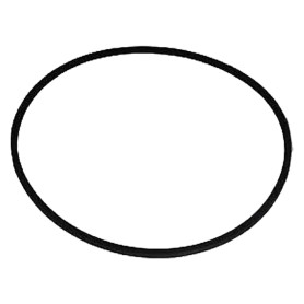 CINGHIA per Oscar  -  Fanny 3