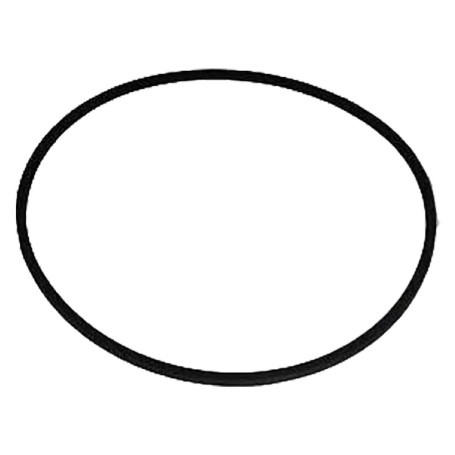 CINGHIA per Oscar  -  Fanny 3