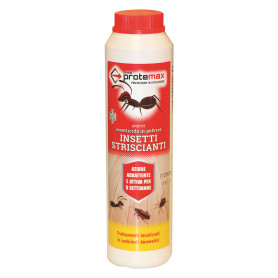 INSETTICIDA IN POLVERE gr 200 - barattolo