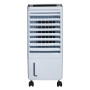 RAFFRESCATORE D ARIA 80W