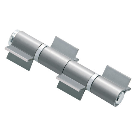 CERNIERONA A 4 ALI APERTE ART. 480 mm 186 -  diametro  27