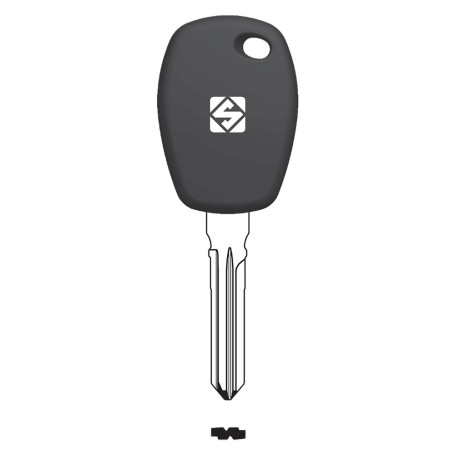 CHIAVI TRANSPONDER ACCIAIO FO21TE