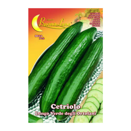 SEMI ORTO CETRIOLO VERDE