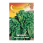 SEMI ORTO SPINACI GIGANTI