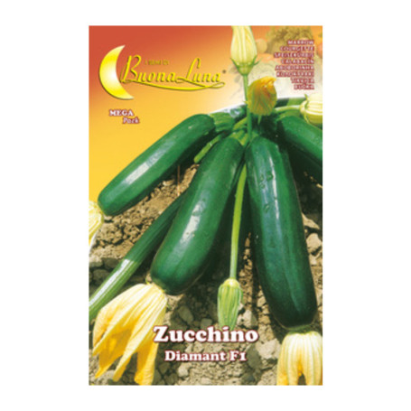 SEMI ORTO ZUCCHINO DIAMANT