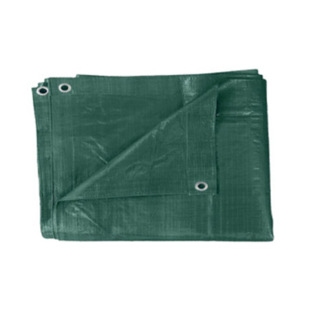 TELONE PE PESANTE C\OCCHIOLI 110 G VERDE  6 X 10 M