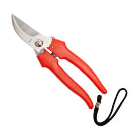 FORBICI P\UVA FALCI INOX 19 CM