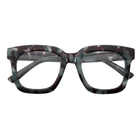 OCCHIALI PER LETTURA MODELLO  SOUTH CAROLINA TARTARUGA/AZZURRO  + 2