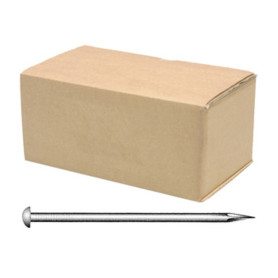 CHIODI ZINCATI FUOCO GARANZ. 20 ANNI 19X80  T. BOMB