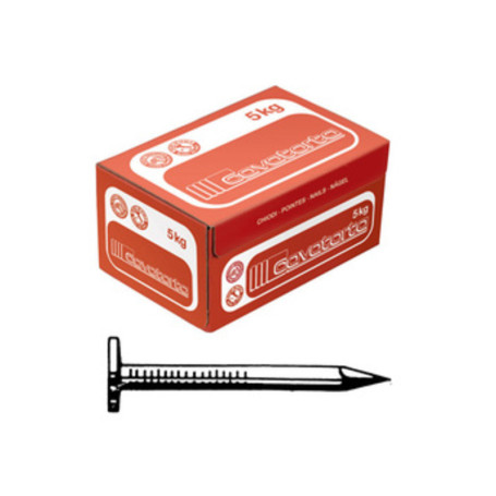 CHIODI TESTA PIANA LARGHISSIMA 17X30  CAVATORTA