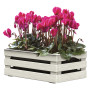 CASSETTA PORTAFIORI  TINA FLOWER  cm 25 x 15