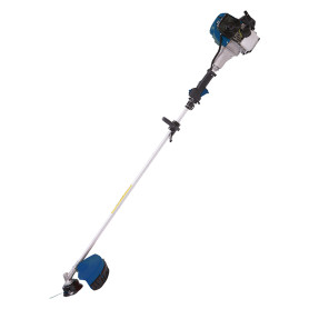 DECESPUGLIATORE  35725  Hp 1