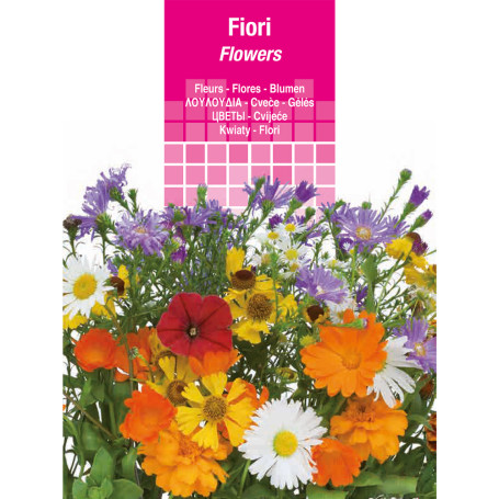 SEMI PER PRATO UNIVERSALE fior di zinnia lilliput nanna