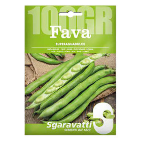 SEMI PER FAVE fava superaguadulce - gr 250