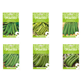 SEMI PER FAVE pisello alderman (rampicante) - gr 100