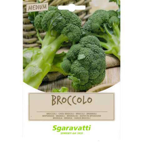 SEMI PER FAVE broccoletto marzatico - gr 100