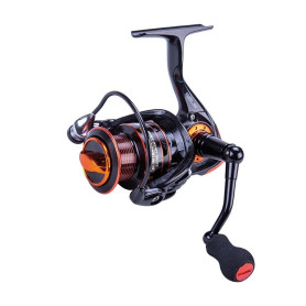 SELE SEA QUINN SELE SEA QUINN