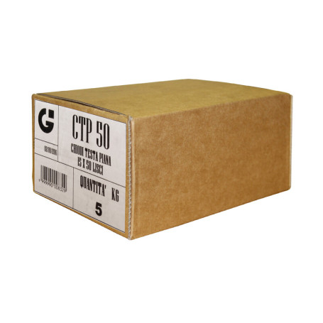 CHIODI TESTA PIANA 20X100