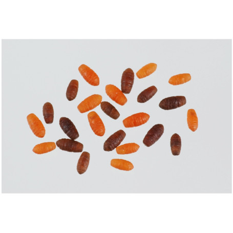 STONFO SYNTHETIC CASTERS