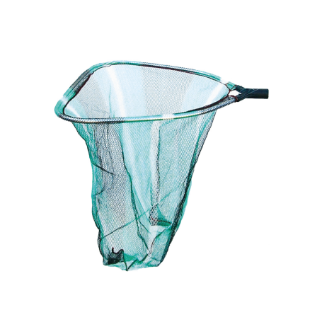 SELE TESTA GUADINO QUADRA