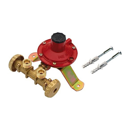 CENTRALINA P\GAS A 2 RUBIN  7 KG\H S\FLESS MIGN*