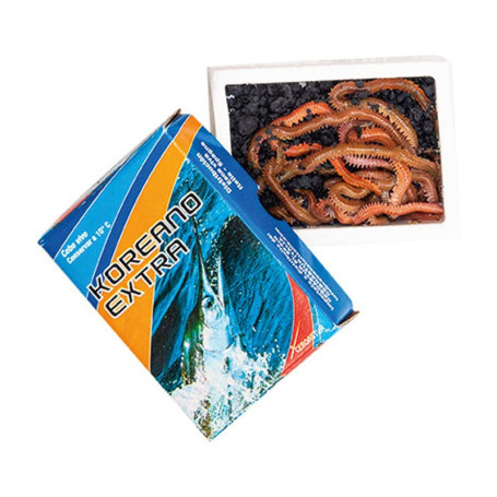 TAKE ME BAITS KOREANO EXTRA