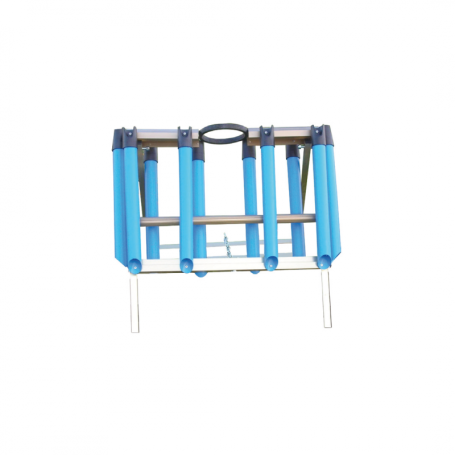 SELE REGGICANNA GARA