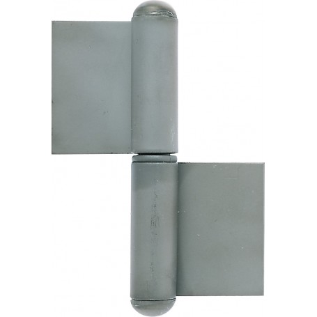 FISCE FERRO C ROND. MM. 60 DX