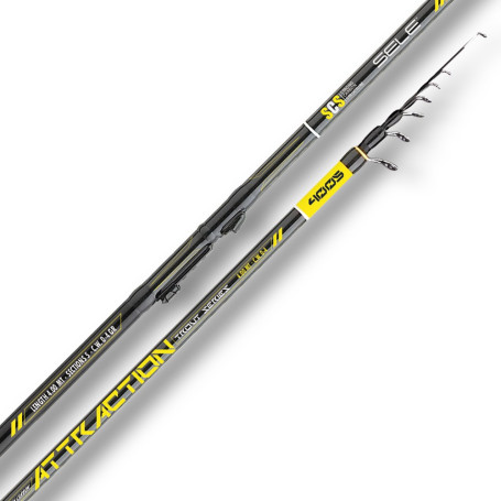 SELE ATTRACTION TROUT